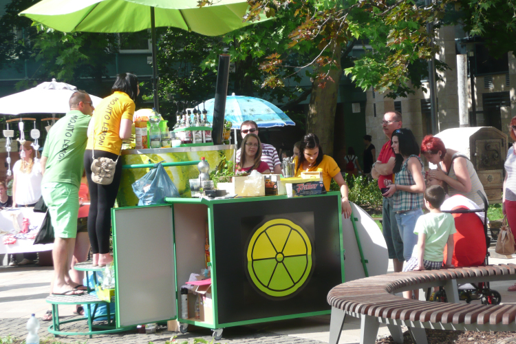 Medve nap az Árpád téren