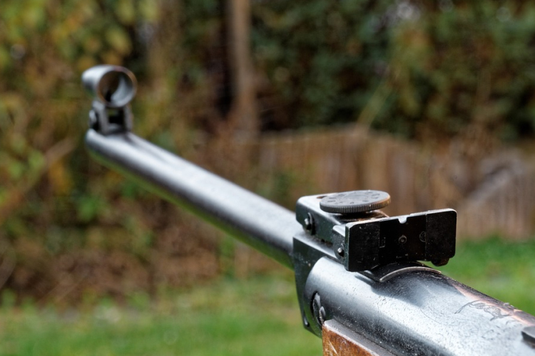 Védett madarak ezreit veszélyezteti a szabálytalan légpuska-használat 