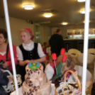 Kinyitotta kapuit az Agóra!