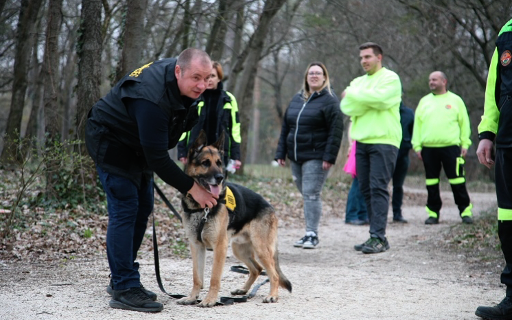TÖRETLEN EGYÜTTMŰKÖDÉS 