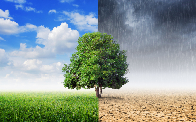 Tatabánya élen jár a klímavédelem terén