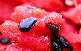 Megeszed a dinnyemagot? Ez történik vele a testedben!