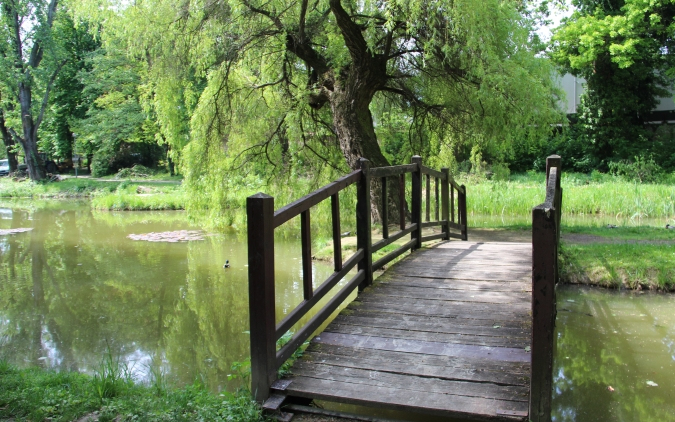 Megújul a Ligeti tó és parkja