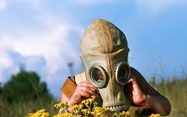 Pollen jelentés