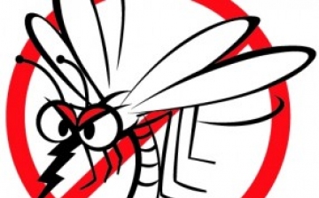 Tájékoztató szúnyogirtásról