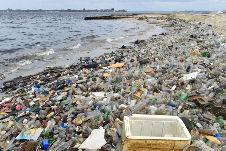 Új, kizárólag műanyagok okozta betegség jelent meg a tengeri madaraknál