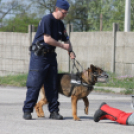 Közbiztonsági nyílt nap 2500 gyermekkel