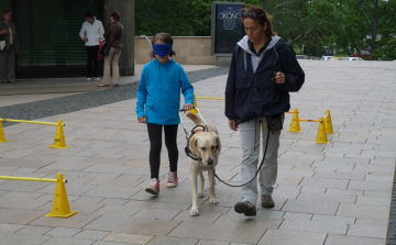 Esélyegyenlőségi nap az Árpád téren