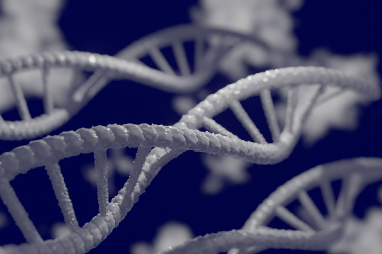 Az öngyilkossággal kapcsolatos 22 gént azonosítottak amerikai kutatók