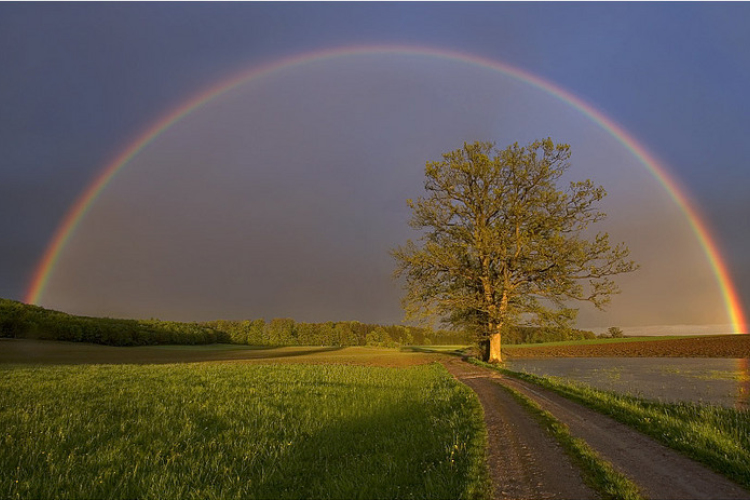 Április - Szent György hava  Tavaszhó - Szelek hava - Báránytor hava