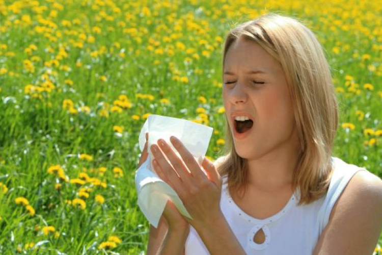 Meghozta a jó idő a pollenszezont