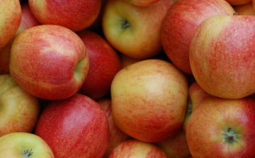 AM: a magyar alma biztonságos és kiváló minőségű
