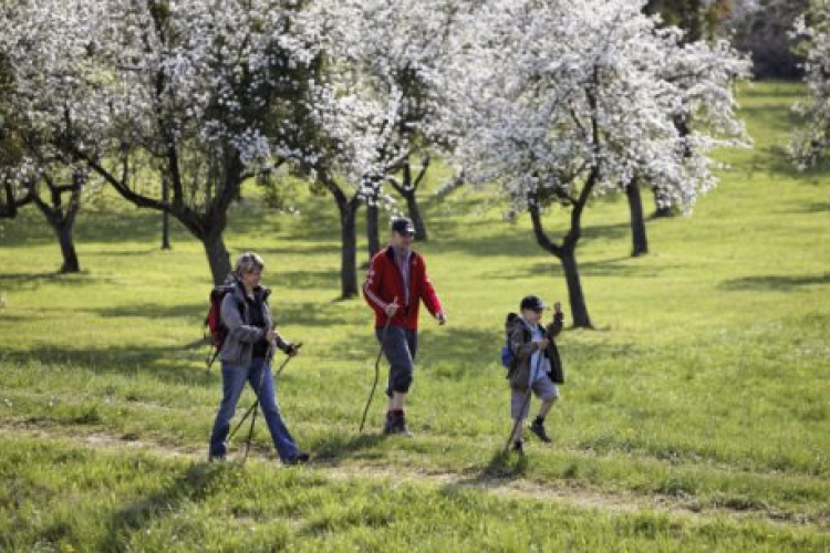Mozdítsd meg „KÖRNYE”zeted!