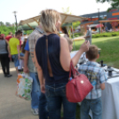 Pünkösdi Forgórózsa  képekben