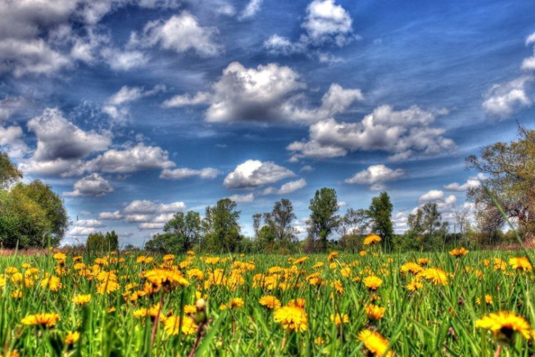 Májusi népszokások, jeles napok májusban 