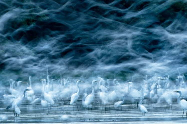 Magyar fotós kapta a National Geographic pályázatának egyik elismerését