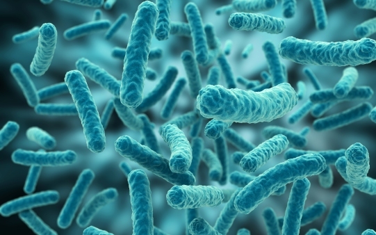 Bakteriális egyensúlytalanság is okozhatja a Chron-betegséget