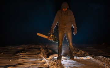 A Tatabányai Járásbíróság első fokon két és fél év börtönbüntetésre ítélt egy férfit