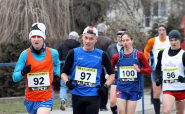 Nemzetközi gyalogló-verseny