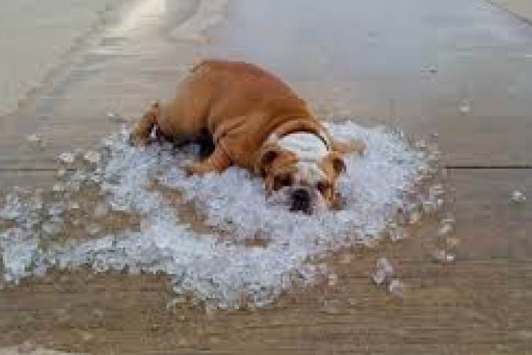 Újra országos hőségriadó!