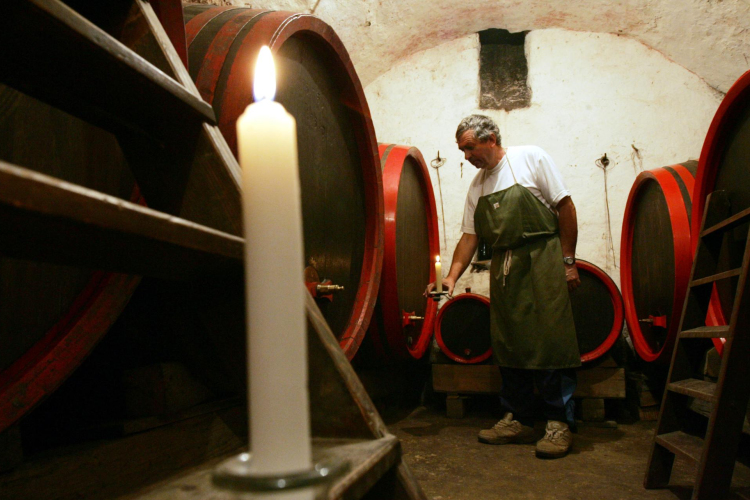 Mustgáz – veszélyes is lehet a szüreti időszak