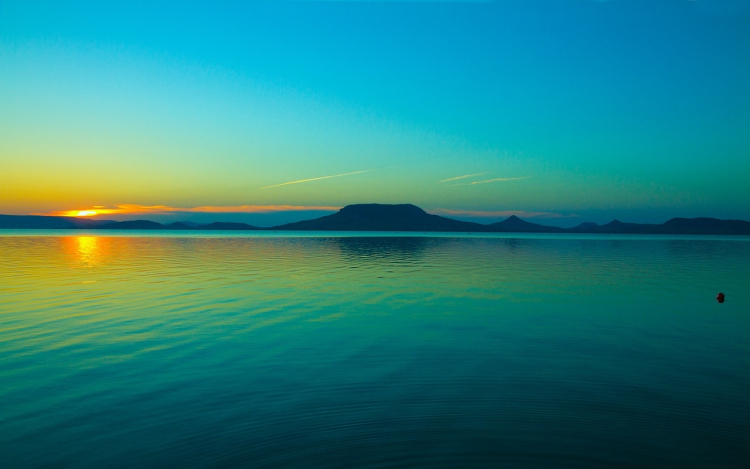 Algásodik a Balatonban