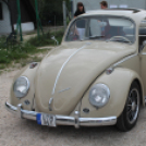 20. Tatabányai Bogártalálkozó