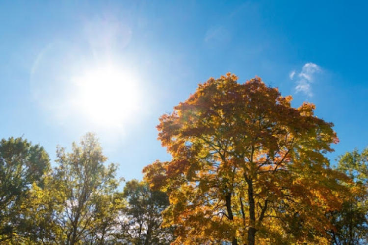 Többfelé 25 foknál is melegebb lesz a hétvégén