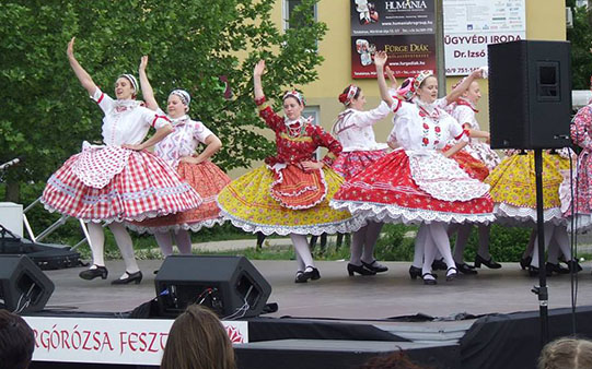 VIII. Forgórózsa Fesztivál