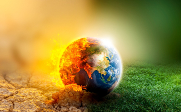 Agrárminisztérium: mintegy 160 millió facsemetével biztosított az erdőtelepítések kiszolgálása