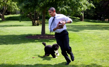 Fegyveres férfi el akarta rabolni Obama kutyáját