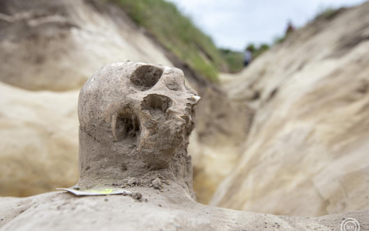 Tatárjárás kori tömegsírt tártak fel a régészek Tázláron