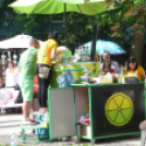 Medve nap az Árpád téren