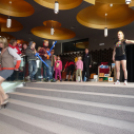 Kinyitotta kapuit az Agóra!