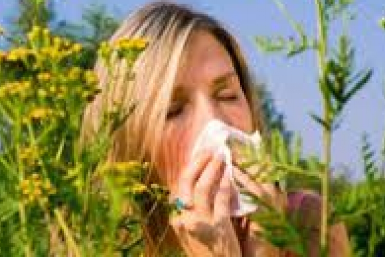 A 19. héten Tatabányán jelentősen lecsökkent a pollenterhelés