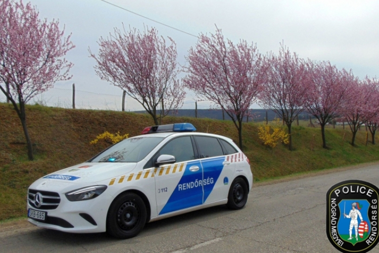 Elütötte, majd kocsiba tette a vadat 