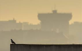 Magas a szálló por koncentrációja