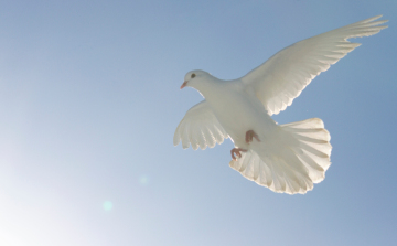 Pünkösd napját ünneplik a keresztények