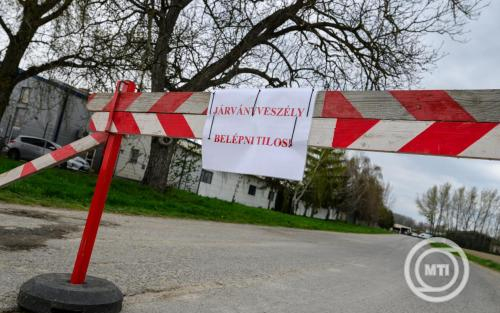 AM: komplex támogatási program segíti a ragadós száj- és körömfájás sújtotta állattartó telepeket