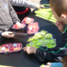 Balesetmentes tavaszkezdés