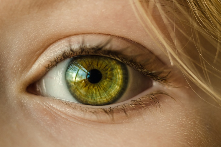 Idén is megszervezik a látás hónapját