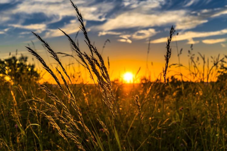 Meteorológia: nyáriasan meleg idő lesz május 1-jén
