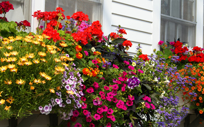 Legszebb ablak pályázat 2016