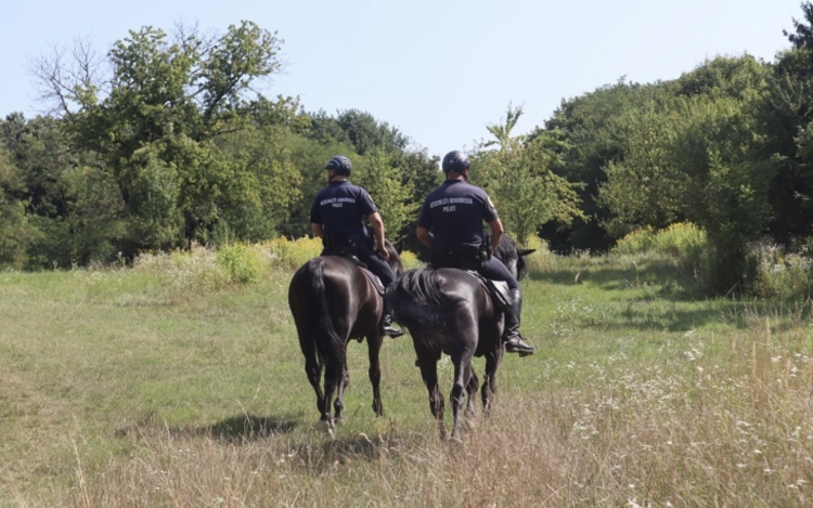 EGY KÖZÖS CÉLÉRT AZ ERDŐBEN  