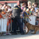 Közbiztonsági nyílt nap 2500 gyermekkel