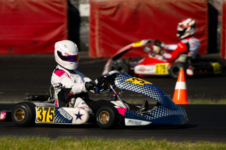 Az akarat diadala