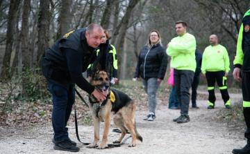 TÖRETLEN EGYÜTTMŰKÖDÉS 