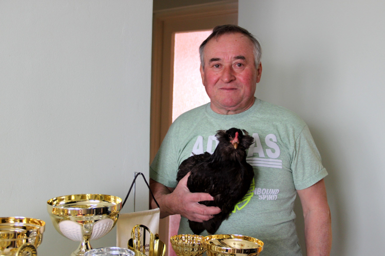 Az arany- és ezüstkoszorús mestertenyésztő