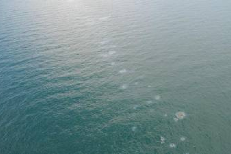 35 órán át hánykolódott az Atlanti-óceánban egy horgász, mire kimentették