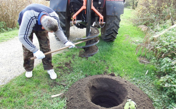 650 ezer forint értékű fatelepítés